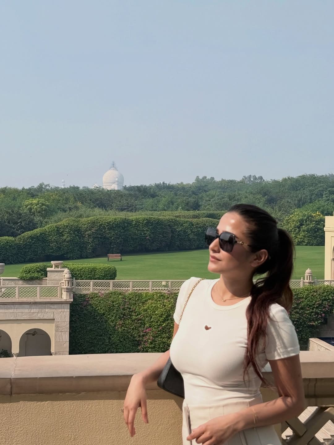 taj mahal portrait