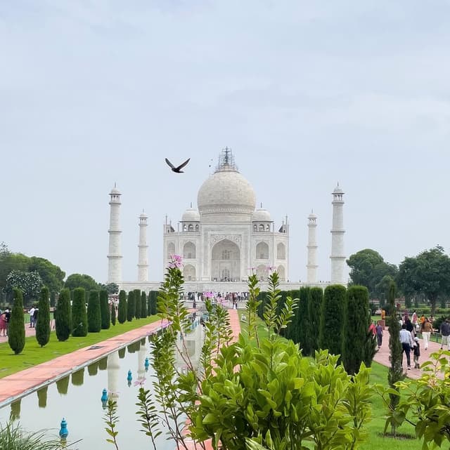 One Day Taj Mahal Tour from Delhi by Private Car