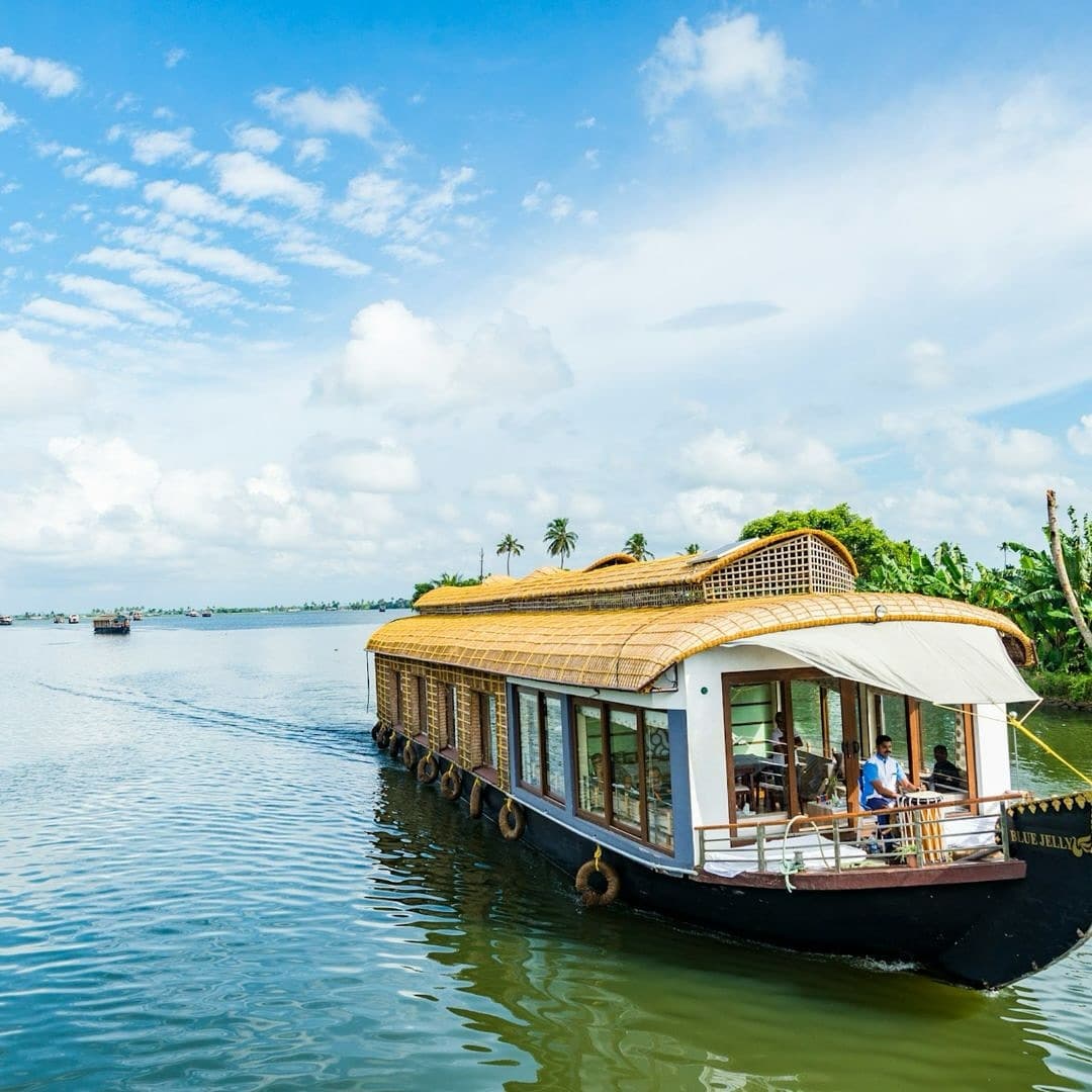 Kerala & Tamil Nadu: 7-Day Tour Package - Image 5