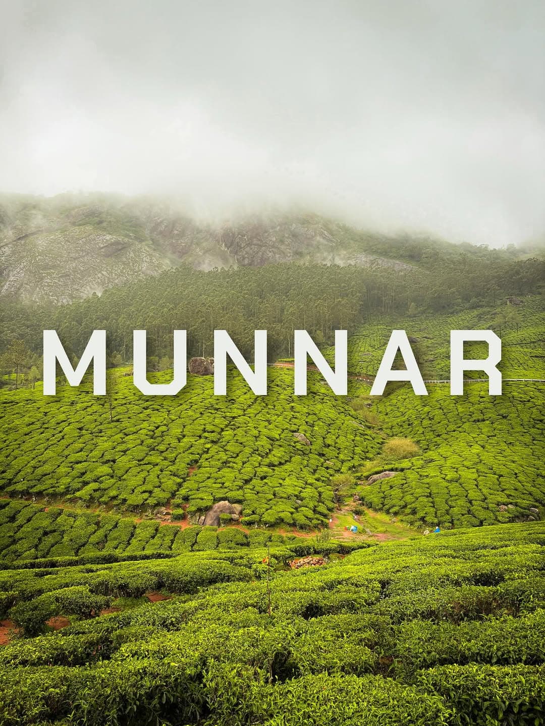 Kerala & Tamil Nadu: 7-Day Tour Package - Image 3