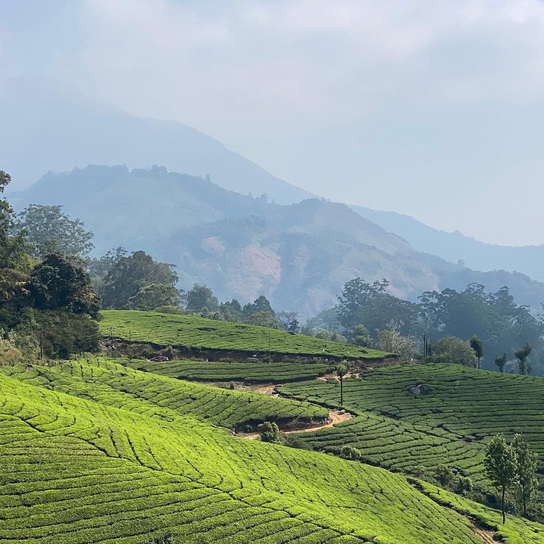 7-Day Adventure from Tea Gardens to Beaches Karnataka - Image 3