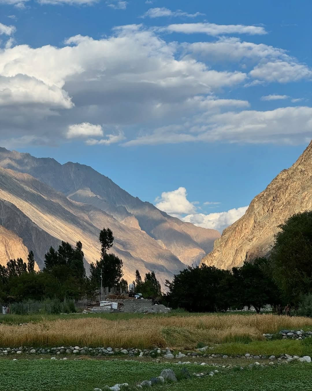 7 Day Ladakh Adventure Tour: Leh, Sham Valley, Khardung La, Nubra, and Pangong - Image 4