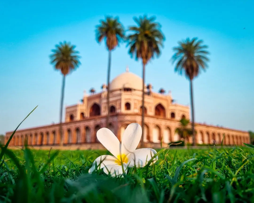 Delhi Sightseeing tour - Image 6