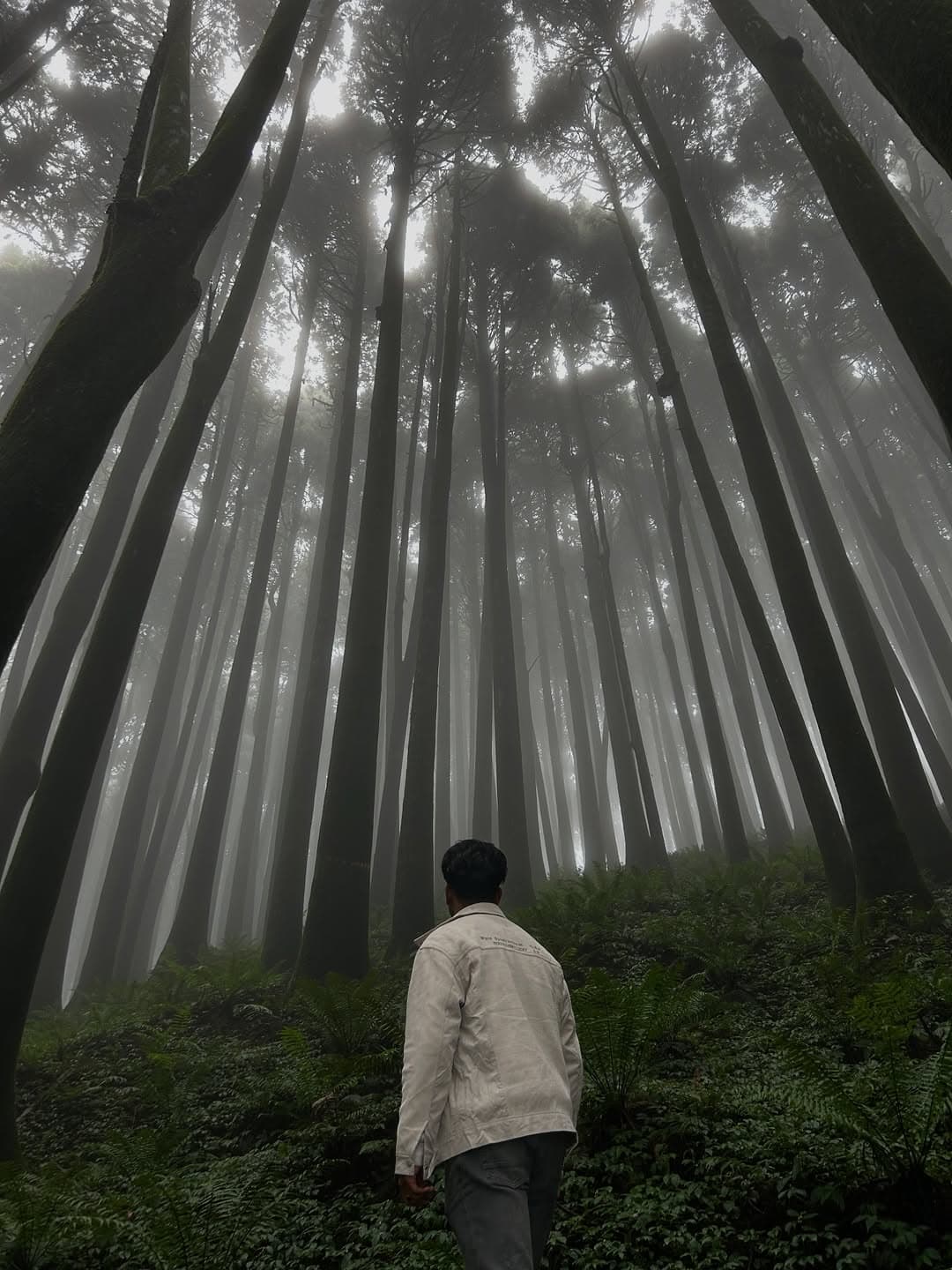 10 Day Sikkim and Darjeeling Tour Package:  Gangtok, Pelling, Lachen Lachung - Image 3