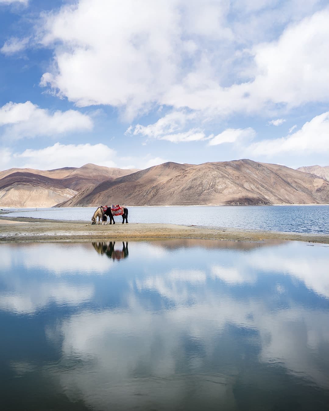 5 Day Leh Ladakh with Pangong lake tour, Hemis, Pangong Lakd, Khardungla  - Image 9