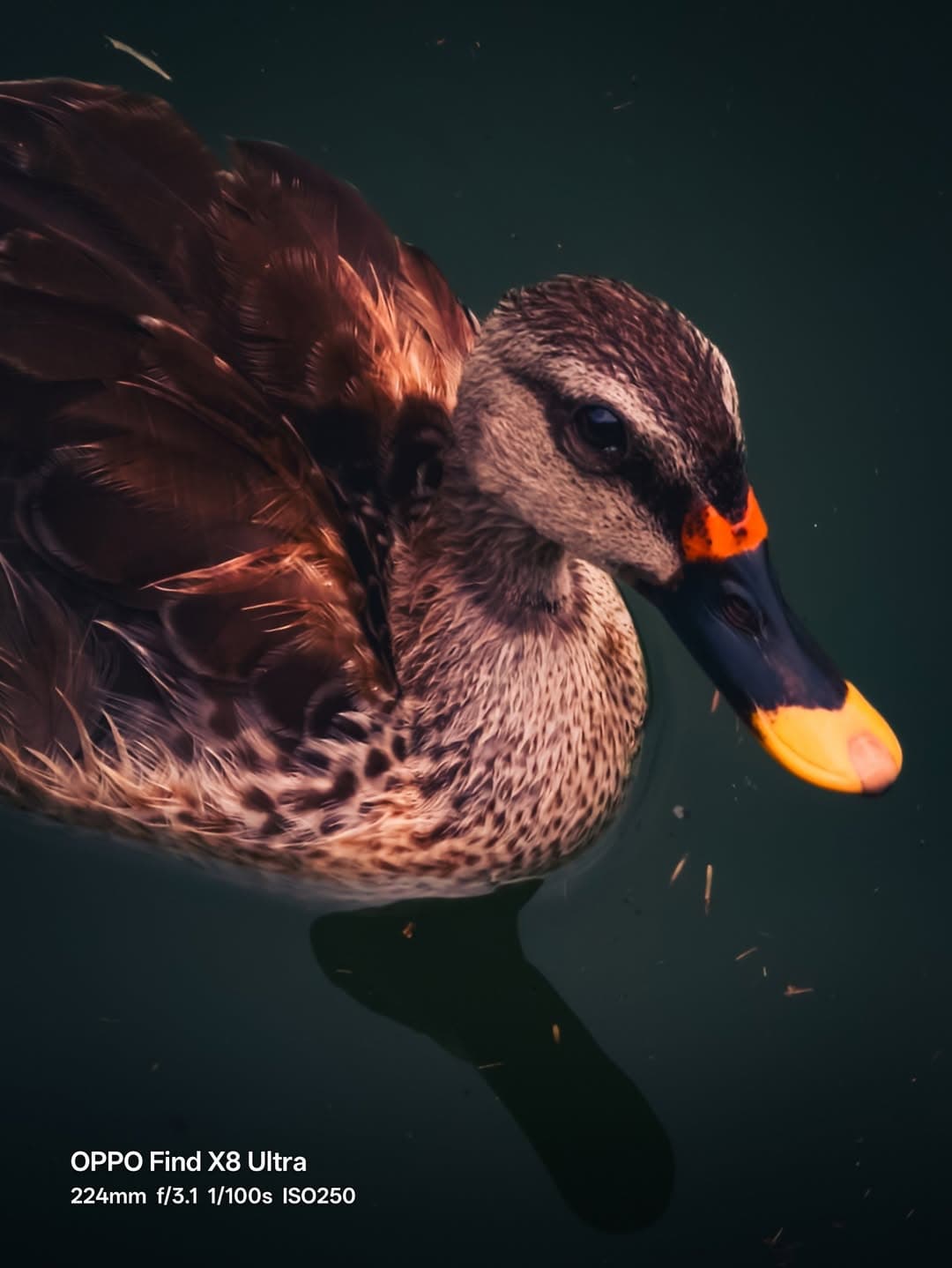 Unique Sightseeing Tour of Old and New Delhi - Image 7